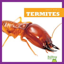 Cover image for Termites