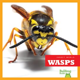 Cover image for Wasps