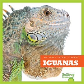 Cover image for Iguanas