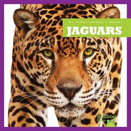 Cover image for Jaguars