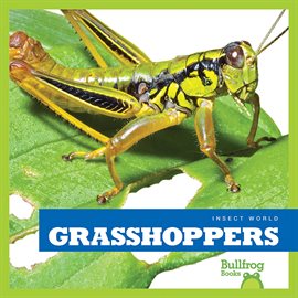 Cover image for Grasshoppers