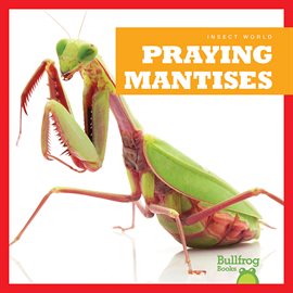 Cover image for Praying Mantises