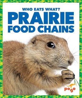 Cover image for Prairie Food Chains