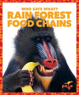Cover image for Rain Forest Food Chains