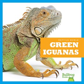 Cover image for Green Iguanas