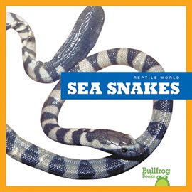 Cover image for Sea Snakes