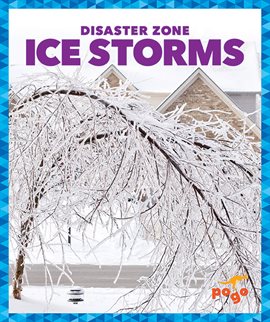 Cover image for Ice Storms