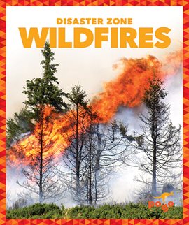 Cover image for Wildfires