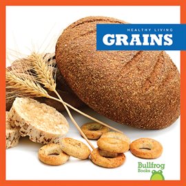 Cover image for Grains