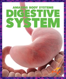 Cover image for Digestive System