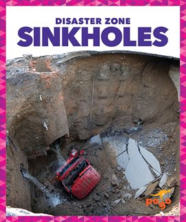 Cover image for Sinkholes