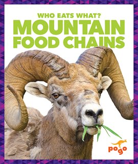 Cover image for Mountain Food Chains