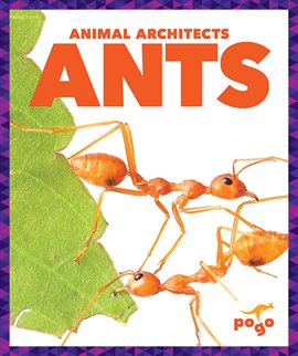 Cover image for Ants