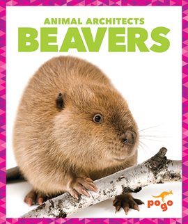 Cover image for Beavers