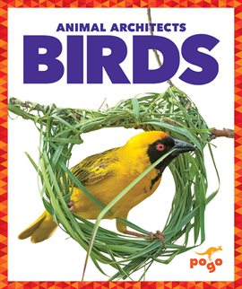 Cover image for Birds