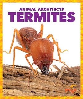 Cover image for Termites