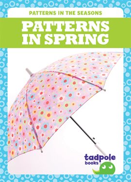 Cover image for Patterns in Spring
