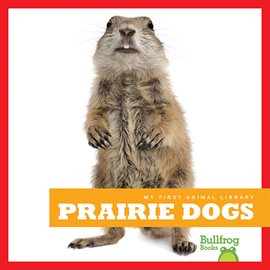 Cover image for Prairie Dogs