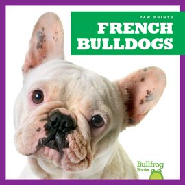 Imagen de portada para French Bulldogs
