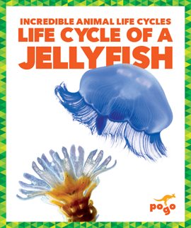 Cover image for Life Cycle of a Jellyfish