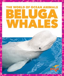 Cover image for Beluga Whales