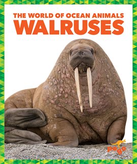 Cover image for Walruses