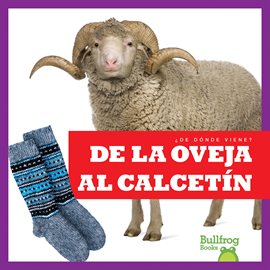 Cover image for De la oveja al calcetín (From Sheep to Sock)