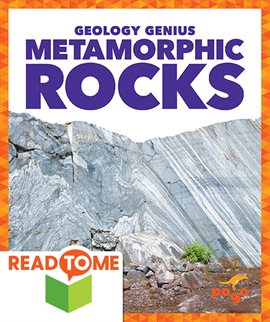Cover image for Metamorphic Rocks
