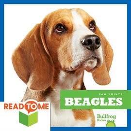 Cover image for Beagles
