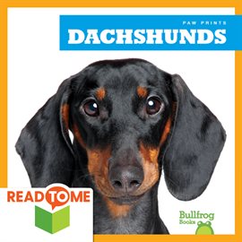 Cover image for Dachshunds