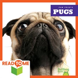 Cover image for Pugs