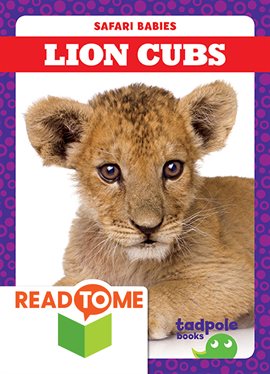 Cover image for Lion Cubs