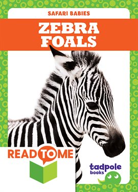 Cover image for Zebra Foals