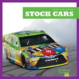 Cover image for Stock Cars