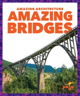 Cover image for Amazing Bridges