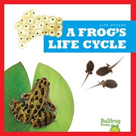 Cover image for A Frog's Life Cycle