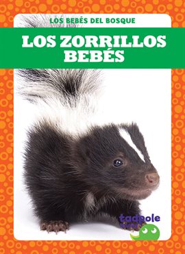 Cover image for Los zorrillos bebés (Skunk Kits)