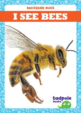 Cover image for I See Bees