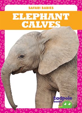 Cover image for Elephant Calves