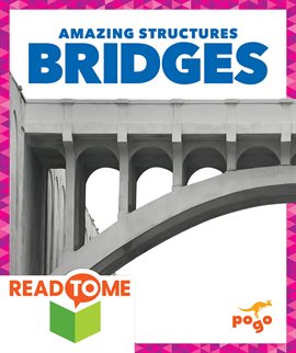 Cover image for Bridges