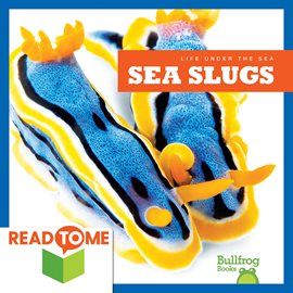 Cover image for Sea Slugs