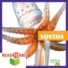 Cover image for Squids