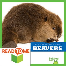 Cover image for Beavers