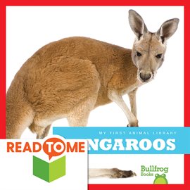 Cover image for Kangaroos
