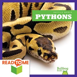 Cover image for Pythons