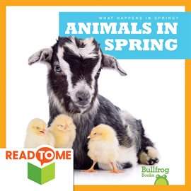 Cover image for Animals in Spring