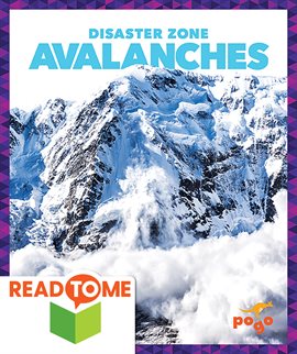 Cover image for Avalanches
