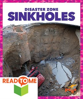 Cover image for Sinkholes