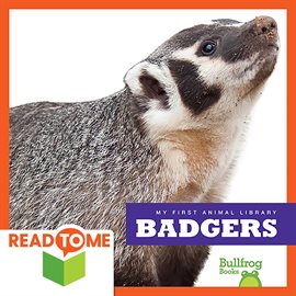 Cover image for Badgers