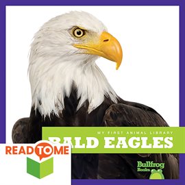 Cover image for Bald Eagles